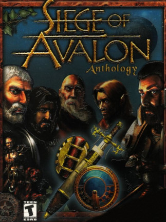 Siege of Avalon: Anthology (PC) - GOG Key - GLOBAL