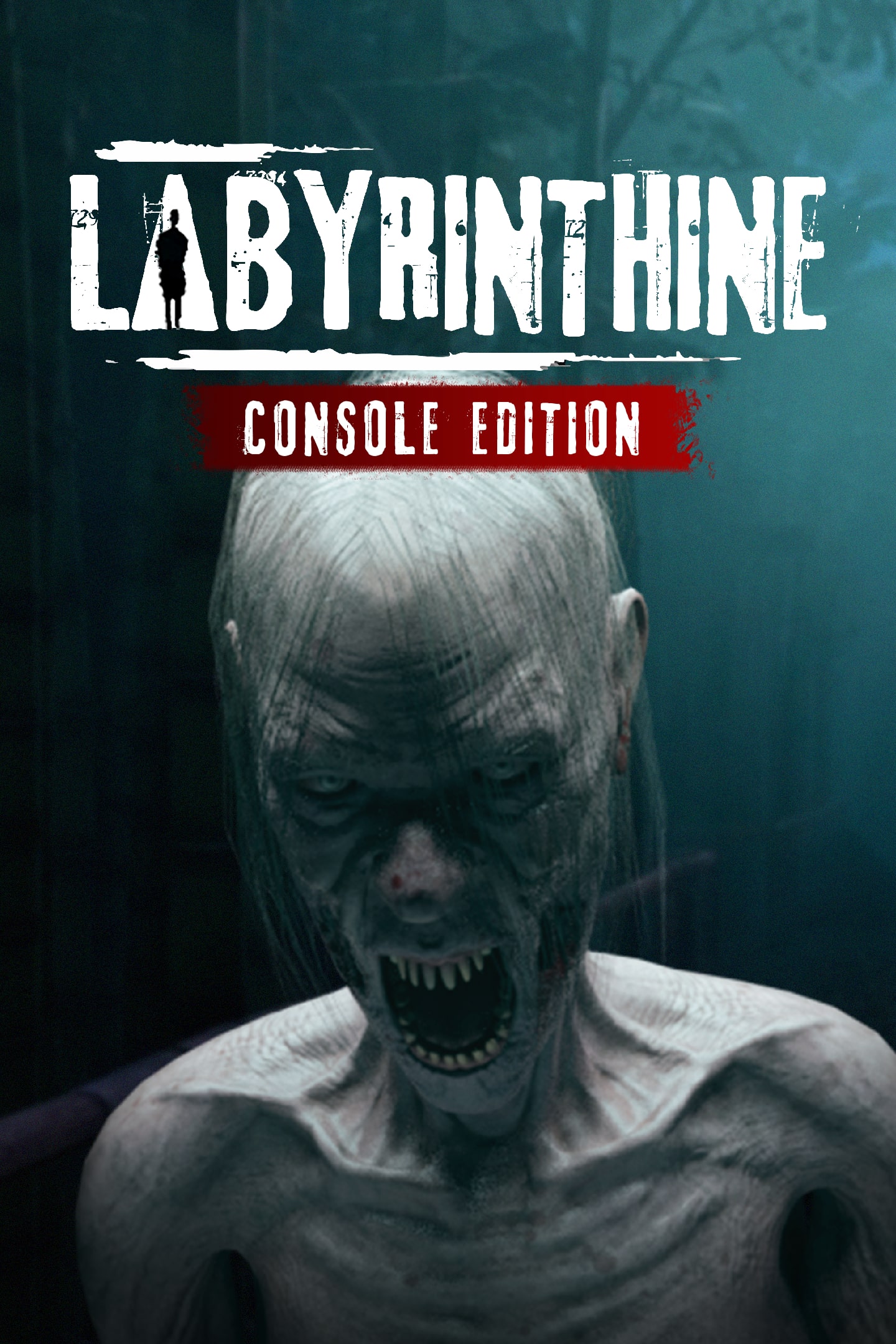 Labyrinthine Console Edition - PS5 Key - EUROPE