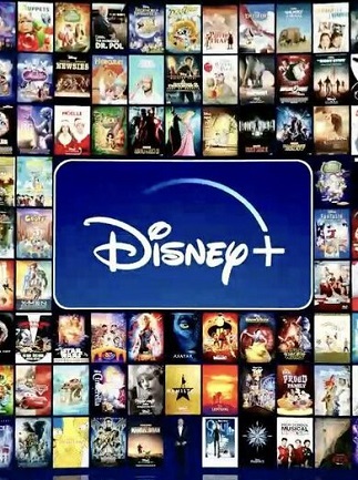Disney Plus 12 Months - Disney+ Key - FRANCE
