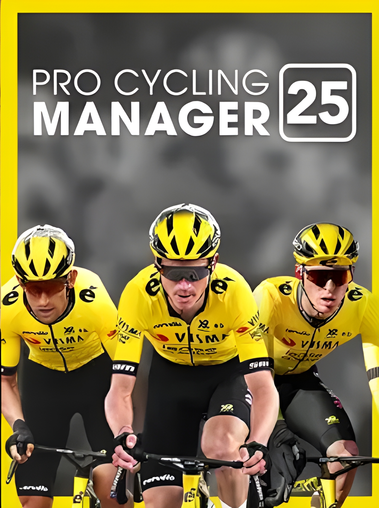 Pro Cycling Manager 25 (PC) - Steam Key - ROW